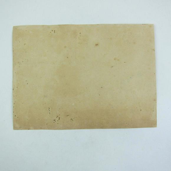 Victorian Trade Card LARGE Woolson Spice Lion Coffee Flowers Basket Dove Birds - Picture 8 of 12